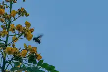 Más de 150 mil personas han visitado la nueva infraestructura ambiental de Cali en 2025