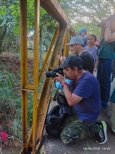Exitosa Jornada de Avistamiento de Aves muestra la riqueza del Bosque Urbano Multicentro y Celebra el Liderazgo de Colombia en el Global Big Day