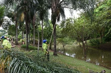 Alcaldía de Cali le cumple a los habitantes de la Comuna 17