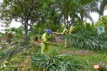 Alcaldía de Cali le cumple a los habitantes de la Comuna 17