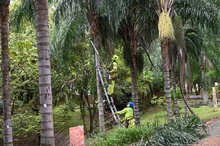Alcaldía de Cali le cumple a los habitantes de la Comuna 17