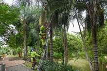 Alcaldía de Cali le cumple a los habitantes de la Comuna 17