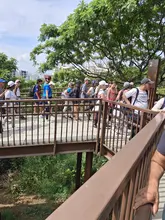 Avistamiento de aves inclusivo en el Tramo II del Proyecto Integral  Cristo Rey