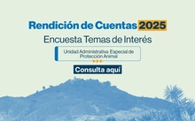 Encuesta de temas de interés