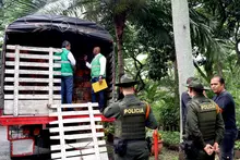 Policía Ambiental realizó aprehensión de madera extraída del litoral  Pacífico