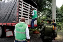 Policía Ambiental realizó aprehensión de madera extraída del litoral  Pacífico