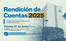 Rendición de Cuentas 2025