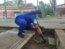 ¡Instituciones listas para recibir a nuestros estudiantes! Culminan con éxito las jornadas de aseo en las escuelas oficiales de Cali