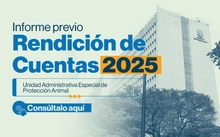 Informe de Rendición de Cuentas