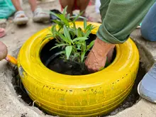  Trabajando en equipo, Los Lagos se vistió de color y alegría para embellecer sus espacios públicos 