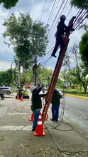 Plan de bacheo y limpieza mejora movilidad y entorno en la comuna 22