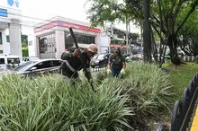 Plan de bacheo y limpieza mejora movilidad y entorno en la comuna 22