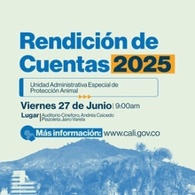 Rendición de Cuentas UAEPA