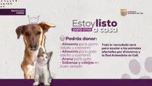 Adopta, dona y transforma vidas el 8 de junio en el Parque de El Ingenio: ‘Estoy listo para irme a casa’