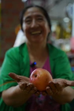Los campesinos y productores están listos para llevar lo mejor del campo a la Plaza de Cayzedo, este sábado 7 de junio
