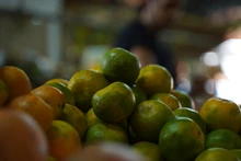 Los campesinos y productores están listos para llevar lo mejor del campo a la Plaza de Cayzedo, este sábado 7 de junio