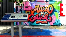 SALSA2