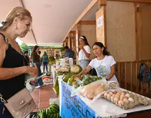 ¿Y qué tal un sancochito de gallina? Compre los ingredientes en Cayzedo Campesino, este sábado