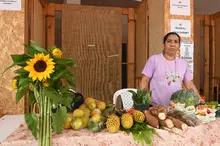 ¿Y qué tal un sancochito de gallina? Compre los ingredientes en Cayzedo Campesino, este sábado