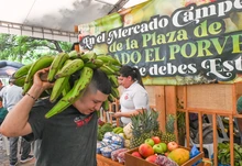 Avanza la recuperación del centro de Cali: mercado campesino integró  economías locales en la Plaza de Cayzedo