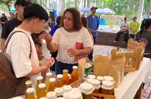Avanza la recuperación del centro de Cali: mercado campesino integró  economías locales en la Plaza de Cayzedo