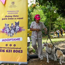 ‘Consentida’, una perrita abandonada que encontró hogar gracias a la jornada de adopción organizada el domingo por la Alcaldía de Cali