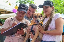 ‘Consentida’, una perrita abandonada que encontró hogar gracias a la jornada de adopción organizada el domingo por la Alcaldía de Cali