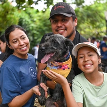 ‘Consentida’, una perrita abandonada que encontró hogar gracias a la jornada de adopción organizada el domingo por la Alcaldía de Cali
