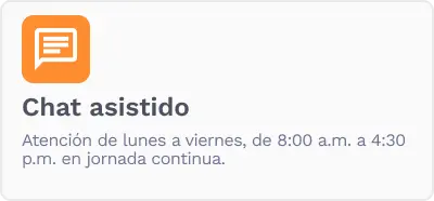 chat asistido