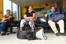 ¡Atención! Si tienes Sisbén A o B, tu animal de compañía puede recibir atención veterinaria gratuita en el Centro de Bienestar Animal de Cali