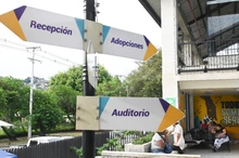 El maltrato animal no tiene justificación y es castigado con todo el peso de la ley