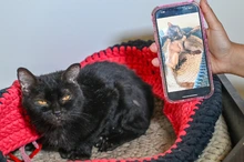 Abre tu corazón en el Centro de Bienestar Animal: adopta un ‘peludito’ y cambia su destino