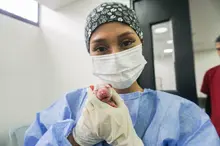 Cali se une al ‘Metropolis Solutions Lab’: compromiso global por el bienestar animal