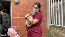 Cali se une al ‘Metropolis Solutions Lab’: compromiso global por el bienestar animal