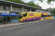 ¡Cali esteriliza con amor! Alcaldía invita a la ciudadanía a no dejar pasar las jornadas gratuitas para el bienestar animal