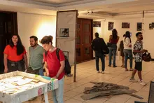 El arte y la memoria se toman las salas del Centro Cultural de Cali con dos nuevas exposiciones