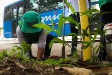 Ciudad Córdoba recupera un espacio digno gracias a la intervención de los Promotores ‘Mi Cali Bella’