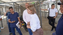 Plaza de Mercado de Siloé: a un paso de su recuperación