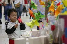Cali celebra 25 años del Festival de Macetas, ‘un dulce legado que perdura’