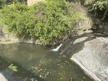 Dagma y Policía Ambiental realizan operativo contra el lavado de vehículos en fuentes hídricas