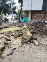 Dagma desarrolla acciones IVC para proteger los recursos naturales  y recuperar el orden en la ciudad