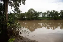 En la recuperación del jarillón del río Cauca se han reasentado 5437 hogares