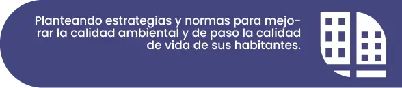 bandera6