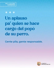 Cultura Ciudadana