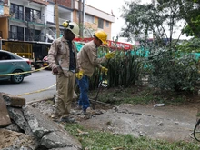 Avanza la recuperación de trece parques y zonas verdes de la ciudad