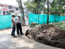 Avanza la recuperación de trece parques y zonas verdes de la ciudad