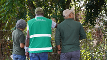 Más de 40.000 m2 en zonas verdes para la conservación del medio ambiente y el disfrute de la ciudadanía al sur de Cali