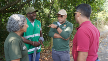 Más de 40.000 m2 en zonas verdes para la conservación del medio ambiente y el disfrute de la ciudadanía al sur de Cali