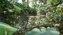 Más de 40.000 m2 en zonas verdes para la conservación del medio ambiente y el disfrute de la ciudadanía al sur de Cali