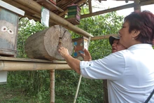 Recorrido por el Ecoparque de la Biodiversidad, un pulmón verde al sur de Cali